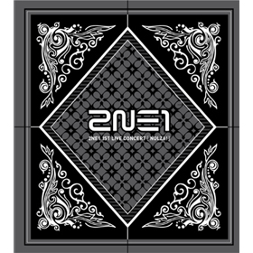 2NE1(トゥエニィワン) : 1st Live Concert [NOLZA!]
