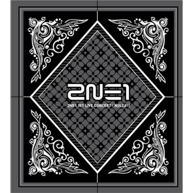 2NE1 - 1st Live Concert [NOLZA!] 