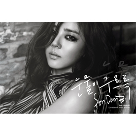 Son Dam Bee - Mini Album Vol.4 [Tears are falling]