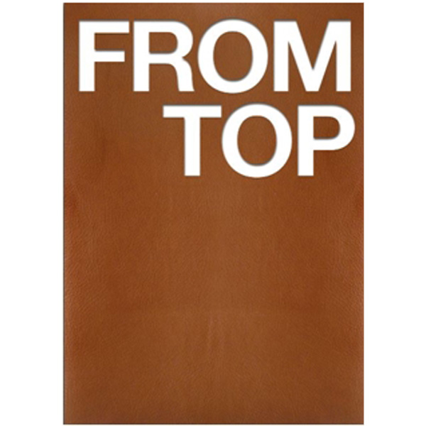 [Not for Sale] [Photobook] Big Bang : T.O.P - 1st PICTORIAL RECORDS [FROM TOP] (CHINESE EDITION)