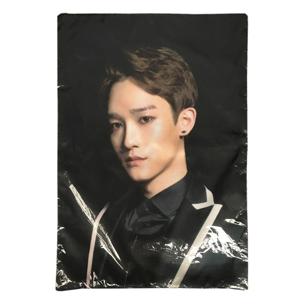 EXOPLANET #1 Cushion Cover (Chen) [EXO Concert Goods]