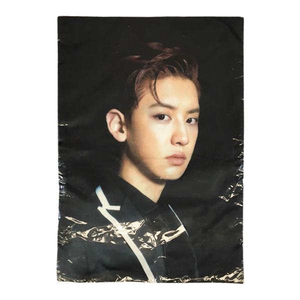 EXOPLANET #1 Cushion Cover (Chan Yeol) [EXO Concert Goods]