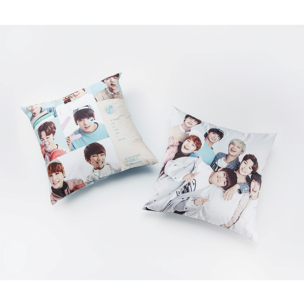 [BTS] Cushion Cover type A - BTS 2015 Live Trilogy Episode 1. BTS Begins