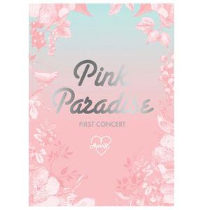【セール】 福袋 の通販 ktown4u.com : [DVD] Apink 1st CONCERT LIVE DVD [PINK PARADISE] ミュージック