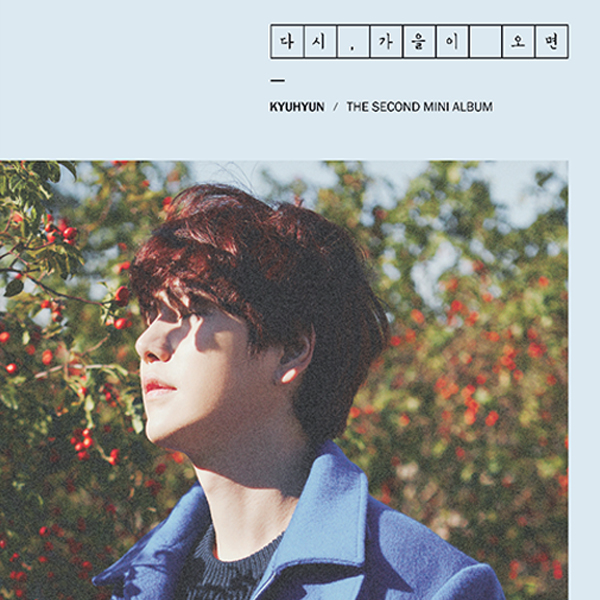 Poster + Super Junior : Kyu Hyun - Mini Album Vol.2 [Again, autumn comes]