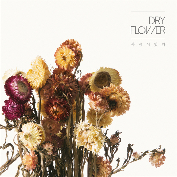 DRY FLOWER - Album Vol.1 [It was love]