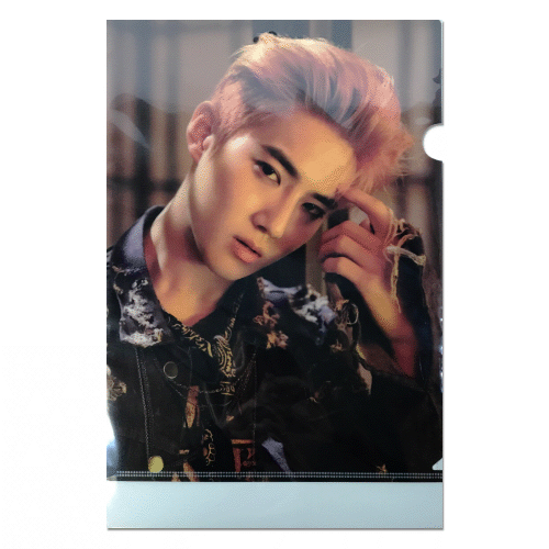 [SUM] EXO - L-Holder (SUHO) [LOTTO]