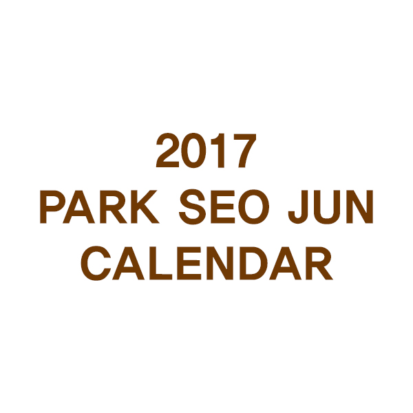 Park Seo Jun - 2017 PARK SEO JUN CALENDAR