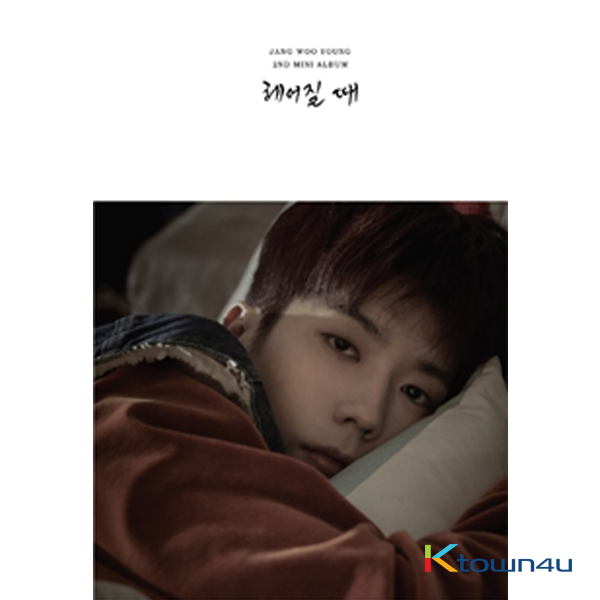 Jang Woo Young - ミニアルバム 2集 [break up]