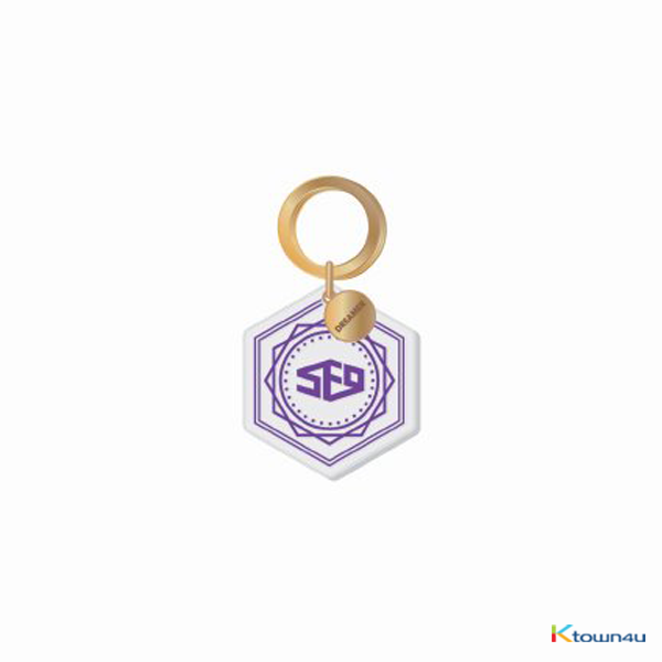 SF9 - ACRYLIC KEYRING [DREAMER 2018 SF9 LIVE FANTASY #1]