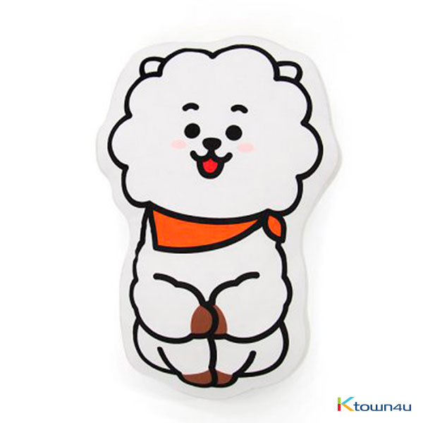 [BT21] FLAT CUSHION : RJ (*Order can be canceled cause of early out of stock)