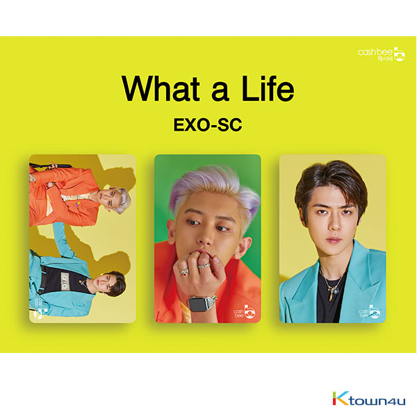 EXO-SC - Traffic Card   