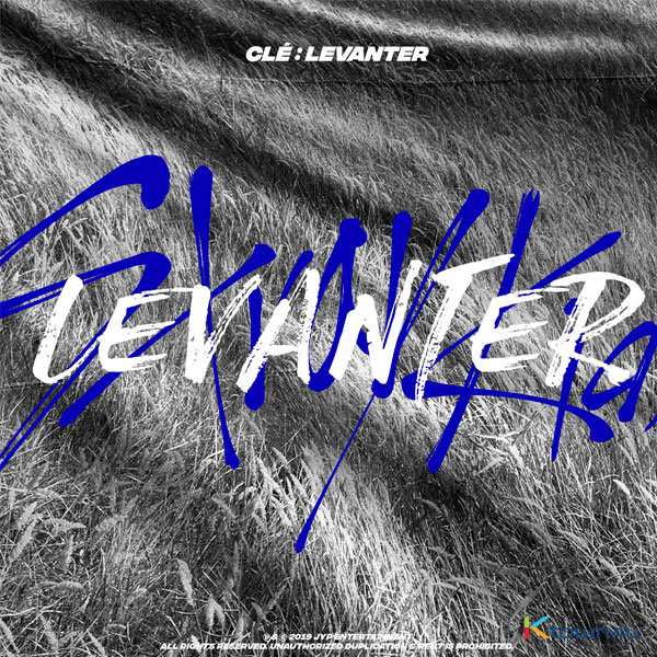 [STRAY KIDS PERU UNION] Stray Kids - Mini Album [Clé : LEVANTER] (Normal Edition)