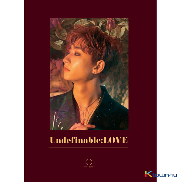 HONG EUNKI - Mini Album Vol1 [UNDEFINABLE:LOVE]