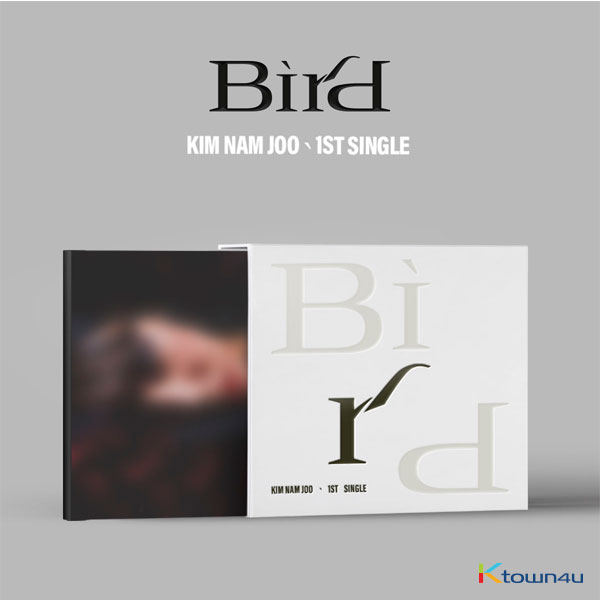 김남주 - 싱글앨범 1집 [Bird]