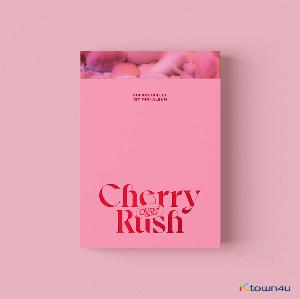 Cherry Bullet レミ サイントレカ Cherry Rush ヨントン Cherry Bullet レミ サイントレカ Cherry Rush ヨントン 超人気
