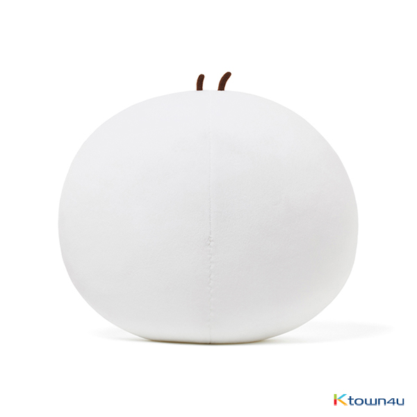 [KAKAO FRIENDS] Mini Face Cushion (Tube)