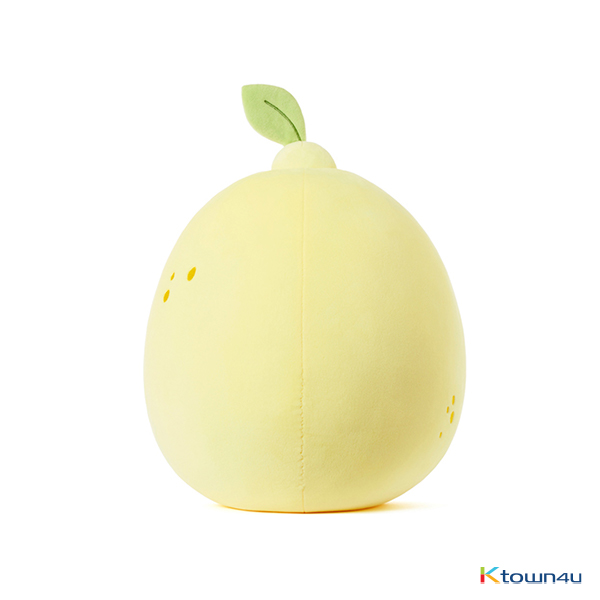 [KAKAO FRIENDS] Lemon Terrace cushion (Ryan)