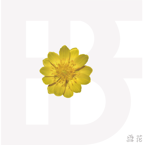 BF - 迷你专辑 [ADONIS] 