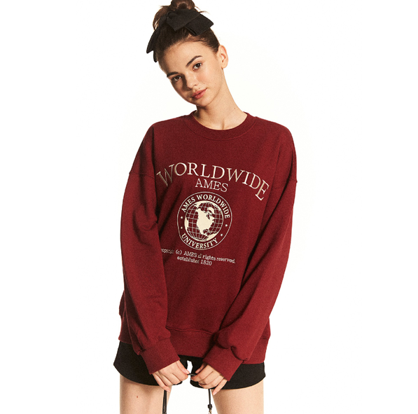 Worldwide Ames Sweatshirts [BG]