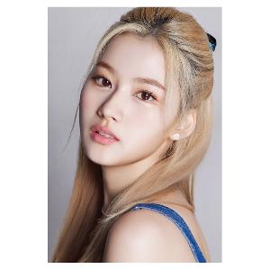 DFESTA twice サナ SANA 沖縄 特典 トレカ 7/27 DFESTA twice サナ SANA 沖縄 特典 トレカ 7/27 - メルカリ