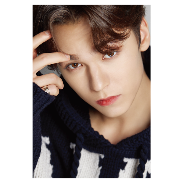 [全款] DICON D’FESTA SEVENTEEN (VERNON)