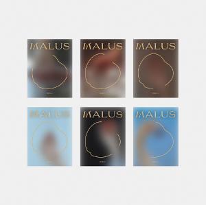 oneus MALUS サノク　フォトカードセット ONEUS - 8TH MINI ALBUM MALUS PHOTO CARD APPLEMUSIC LUCKY