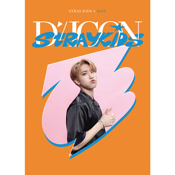 [全款] DICON D’FESTA MINI EDITION : Stray Kids (HAN)