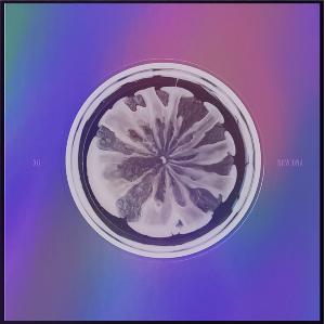 【新品未開封】XG アルバム NEW DNA 2024 シーグリ Forbes ktown4u.com : XG - 1st mini ALBUM [NEW DNA] (X VER.)