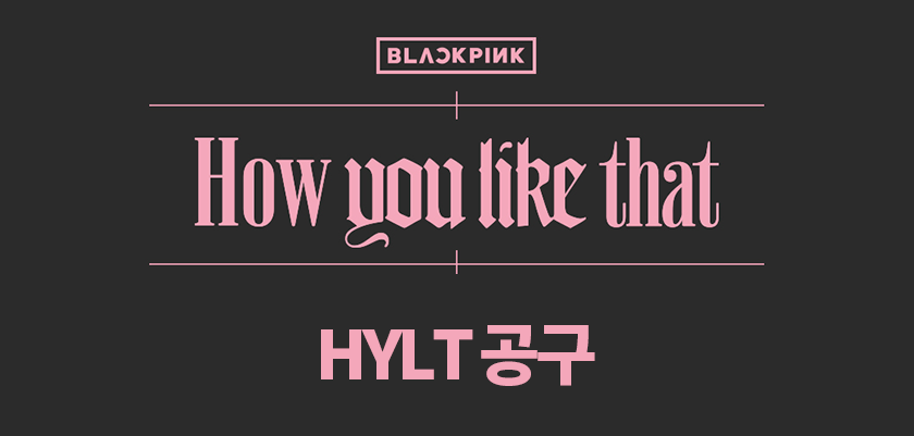 블랙핑크 : HYLT 공구