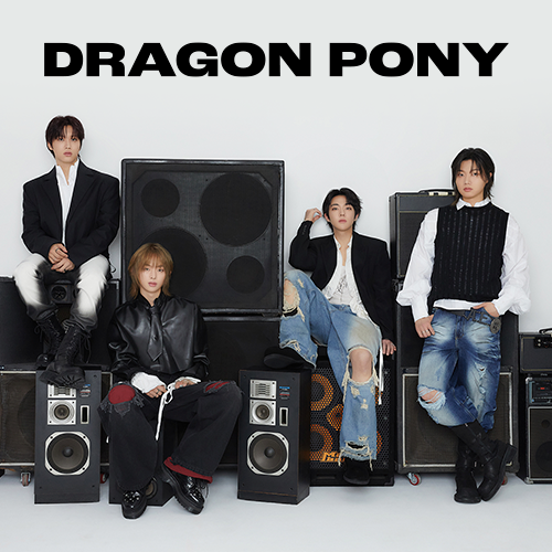 Dragon Pony (드래곤포니)