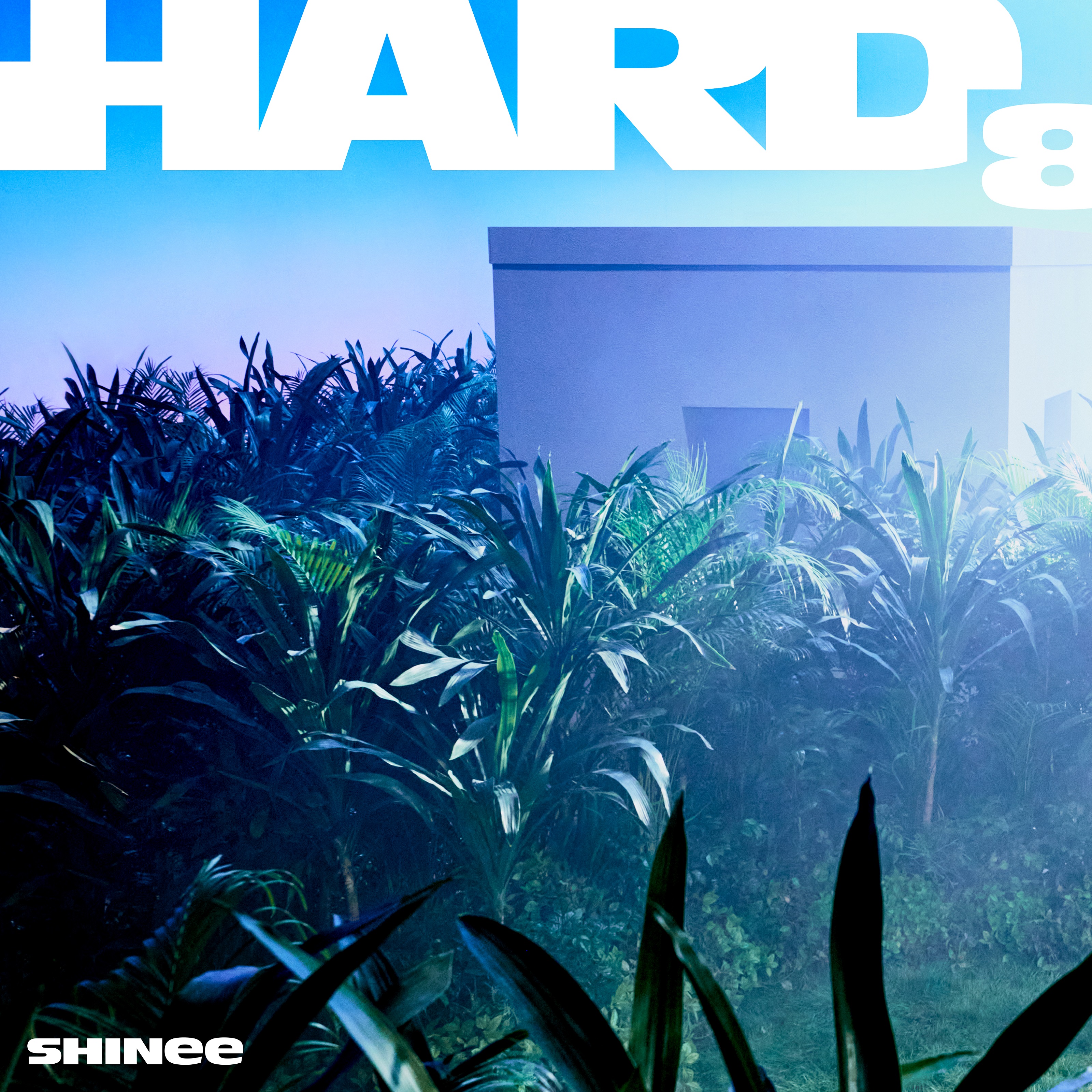 [拆卡专] [Ktown4u Special Gift] * 指定KEY特典卡 SHINee - The 8th Album [HARD] (Photo Book Ver.) (Random Ver.)_KeysNote笔记站