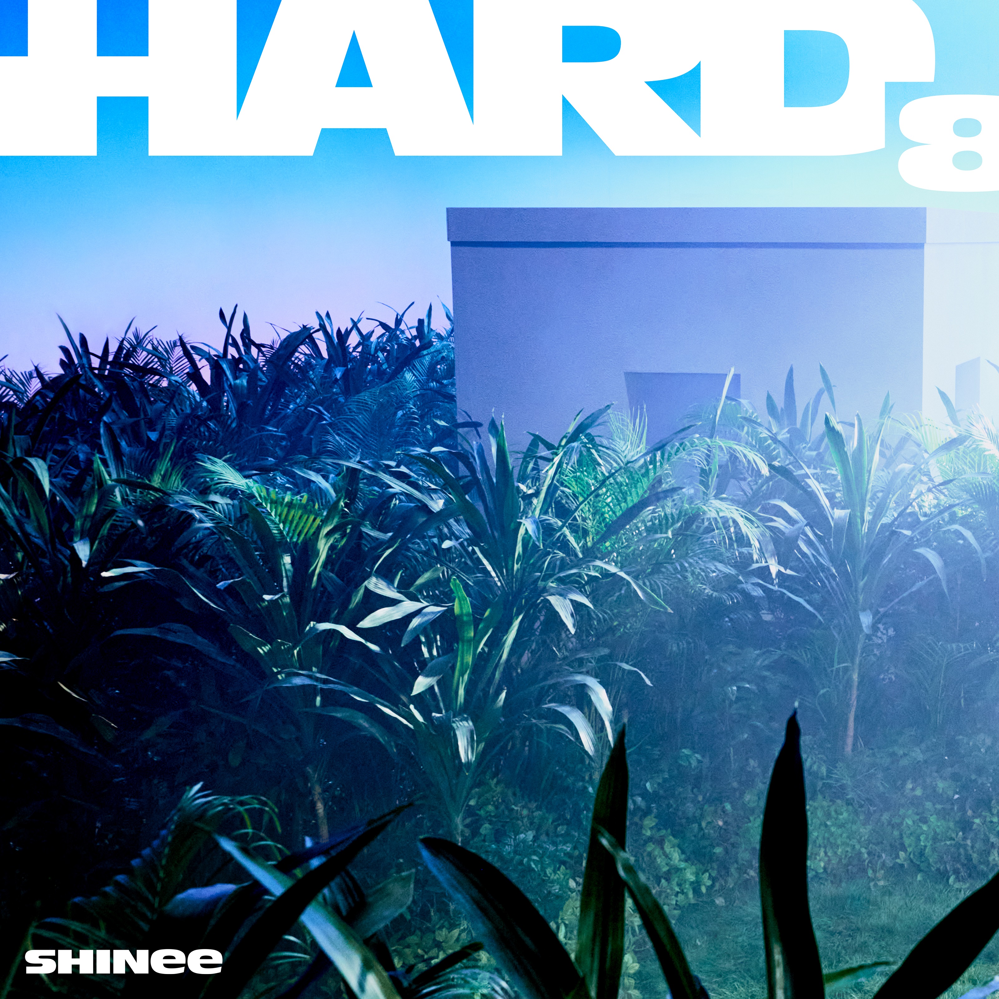 [拆卡专] [Ktown4u Special Gift] SHINee - The 8th Album [HARD] (Photo Book Ver.) (Random Ver.)_崔珉豪吧