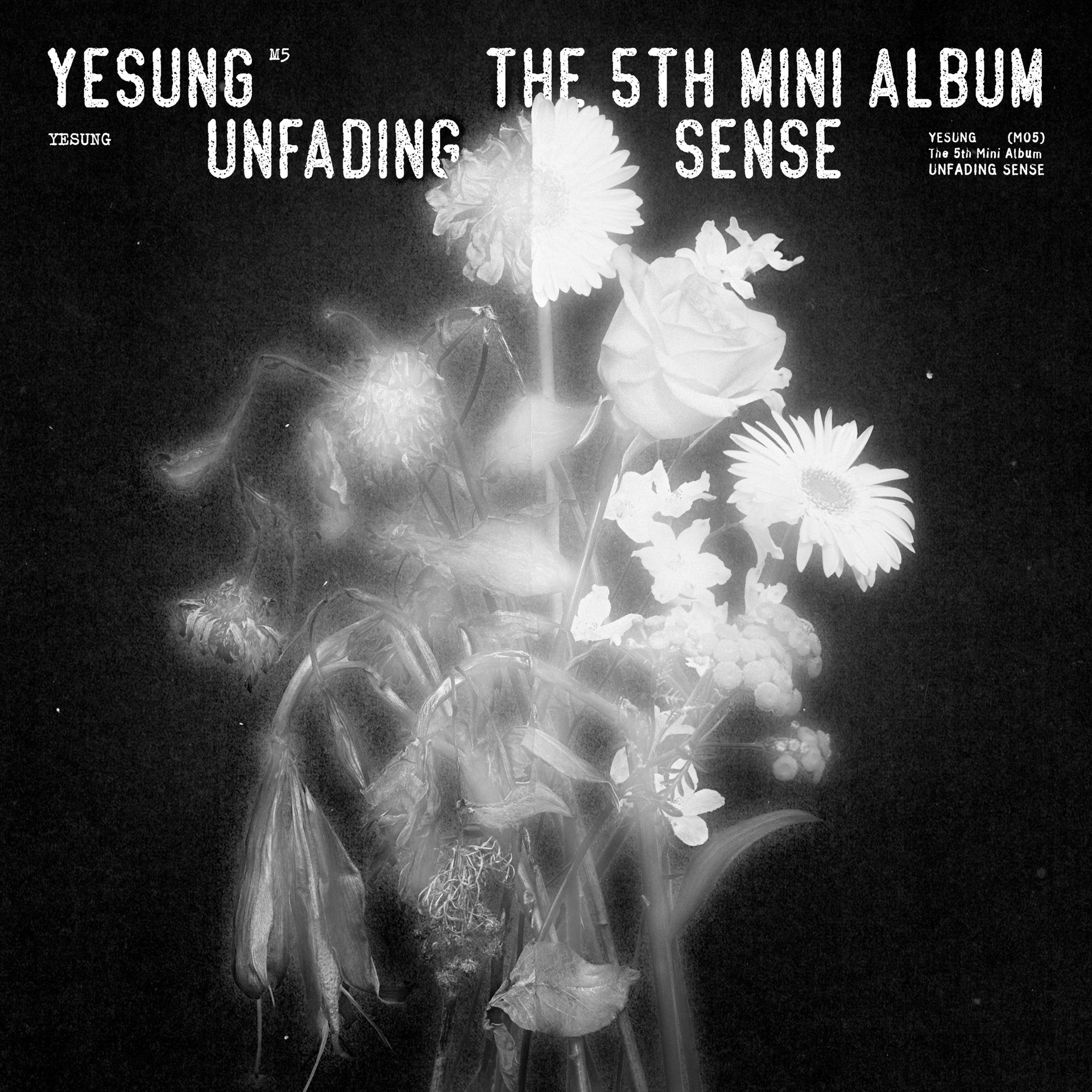 [拆卡专 第二批(截止至10.10早7点)]  [Ktown4u Special Gift] YESUNG - The 5th Mini Album [Unfading Sense] (Photo Book Ver.) (Random Ver.)_HKELF