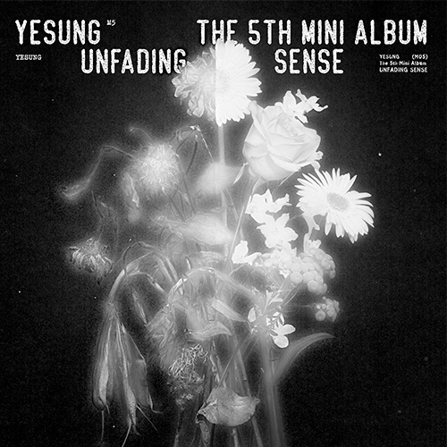 YESUNG